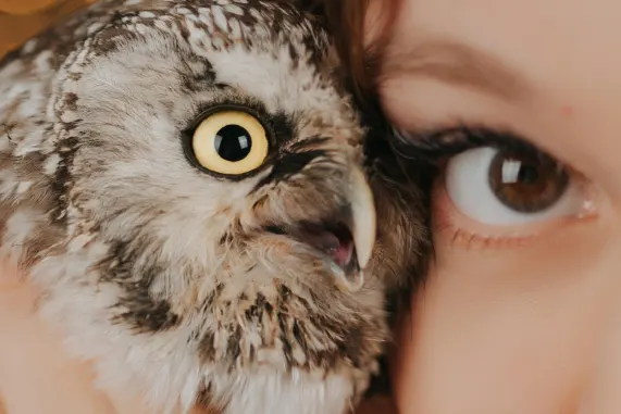 ティーユーエスケー カジノ サポート